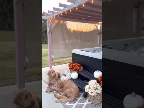 SUNJOY 12x14 Pergola with Sliding Shade Roof & Woodgrain Steel Frame