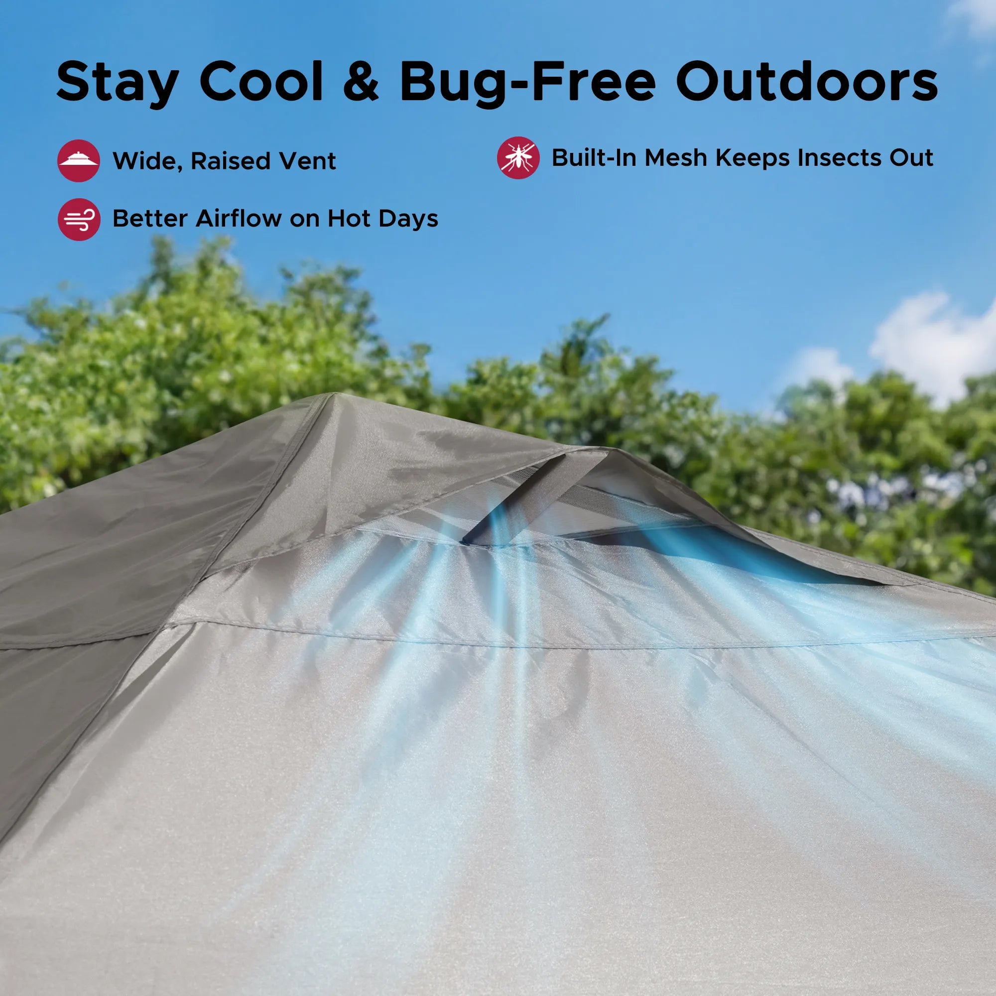 SUNJOY 10x10 Pop Up Gazebo Canopy with Detachable LED Light and Carry Bag - Gray 