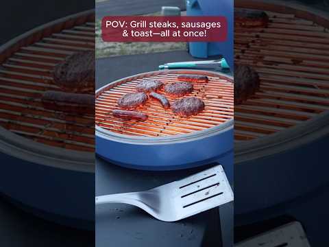 SUNJOY 20 Inch Charcoal Grill, Kamado Grill with Pizza Stone, Ultimate Egg BBQ Grill and Smoker with Wheels 