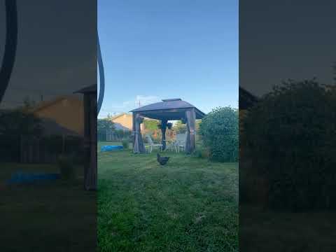 Build a 11x13 Backyard Gazebo for Backyard